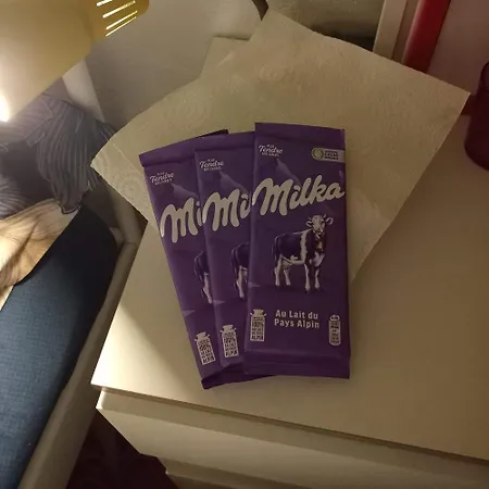 I38 Helianthe Maison Hlm Foyer Stephanais 38i Konukevi *